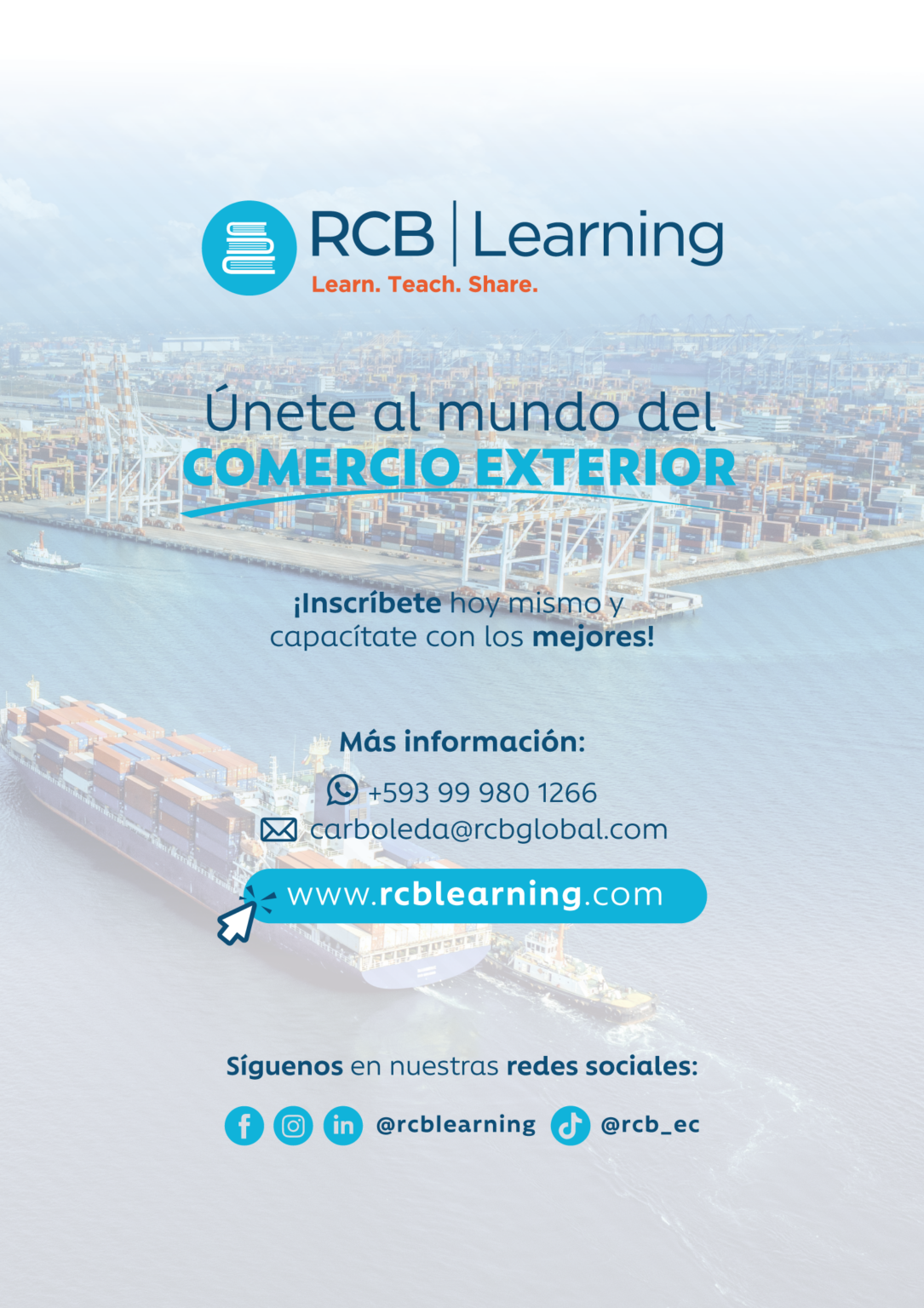 GESTIONADUANERA_BROCHURE-img4